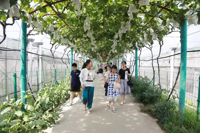 嘉定区举办中小学生质量行活动